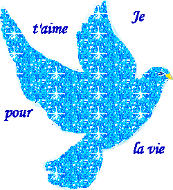 canard d'amour